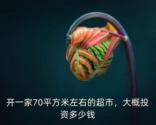 邯鄲開(kāi)一家四十平米超市需要多少錢(qián),開(kāi)個(gè)便利店需要多少錢(qián)