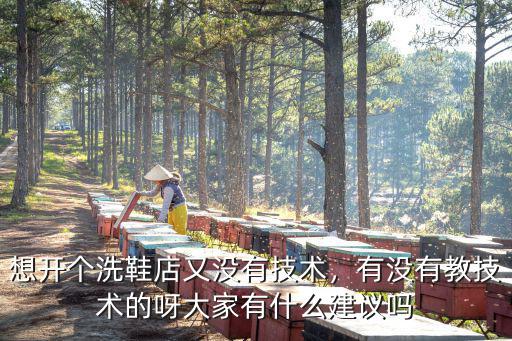 德陽哪里有洗鞋店,洗鞋店賺錢嗎