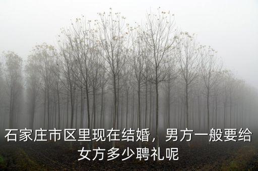 石家莊市區里現在結婚，男方一般要給女方多少聘禮呢