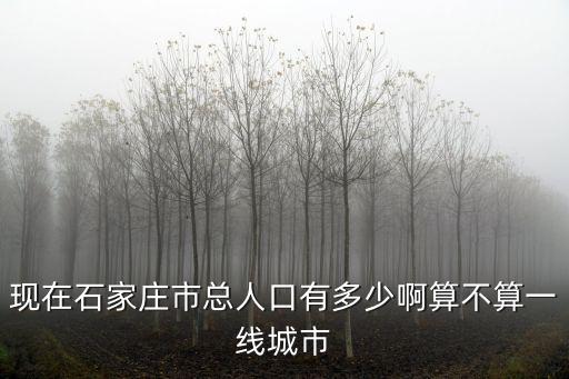石家莊有多少人口啊,現在石家莊市總人口有多少啊