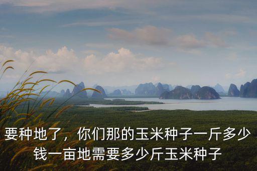 現在承德玉米多少錢一公斤,你們那的玉米種子一斤多少錢