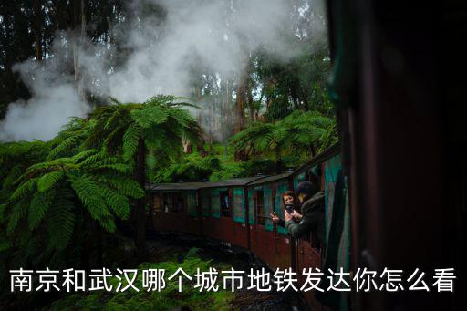 南京和武漢哪個(gè)城市地鐵發(fā)達(dá)你怎么看
