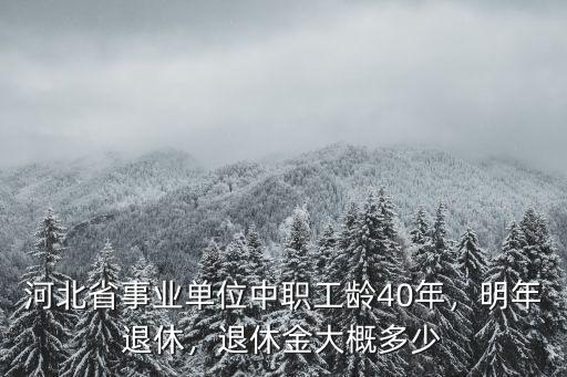 河北省事業單位中職工齡40年，明年退休，退休金大概多少