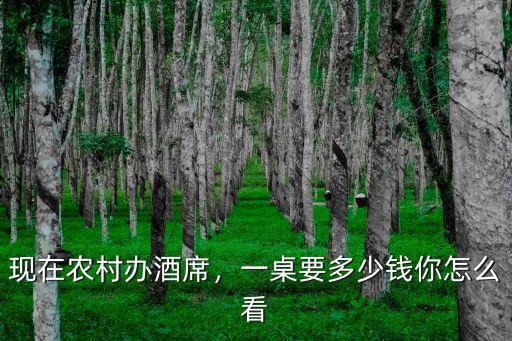 現在農村辦酒席，一桌要多少錢你怎么看