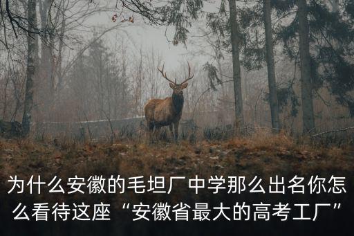為什么安徽的毛坦廠中學那么出名你怎么看待這座“安徽省最大的高考工廠”