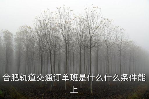 合肥軌道交通訂單班是什么什么條件能上