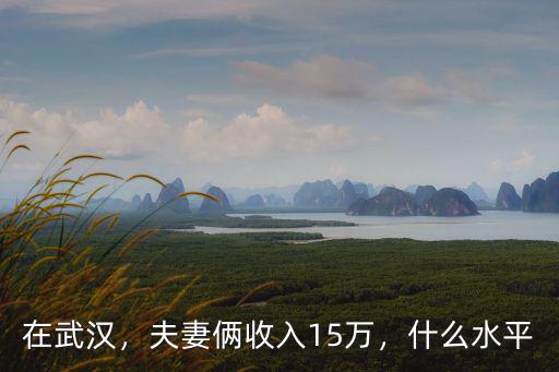 在武漢，夫妻倆收入15萬，什么水平