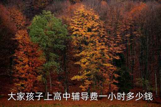 大家孩子上高中輔導費一小時多少錢