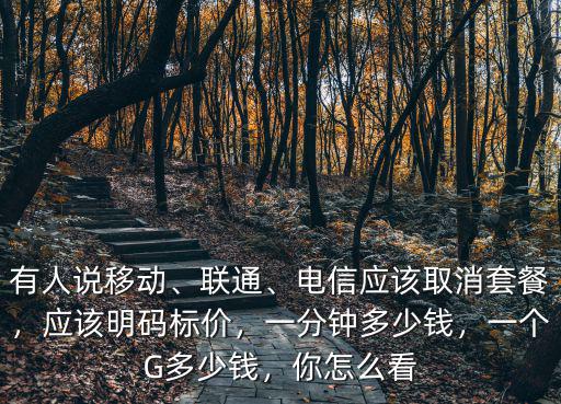 安徽聯(lián)通電話多少錢一個(gè)月,一分鐘多少錢