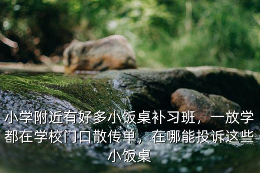 小學(xué)附近有好多小飯桌補習(xí)班，一放學(xué)都在學(xué)校門口散傳單，在哪能投訴這些小飯桌