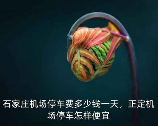 石家莊正定機場每天停車費是多少,正定機場停車費多少錢一天
