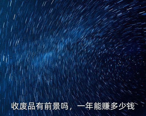 石家莊收廢品一天多少錢,收廢品一年掙多少錢