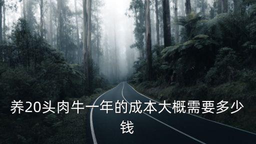 石家莊牛崽一頭多少錢,九十年代一頭牛多少錢