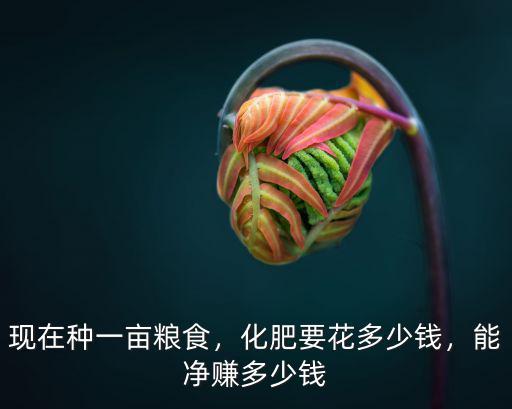 苗壯源復合肥多少錢,復合肥多少錢一袋