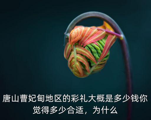娶唐山人多少彩禮,你們那里彩禮是多少