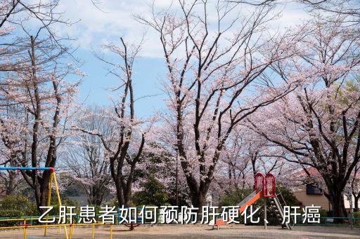 乙肝患者如何預防肝硬化、肝癌
