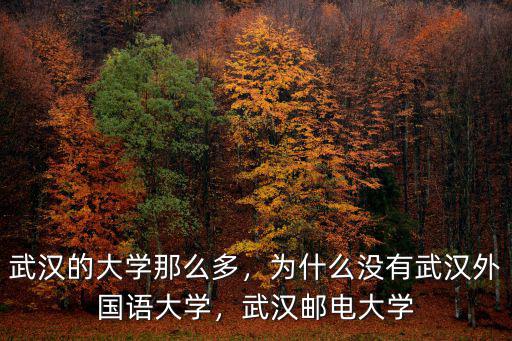 武漢武大外校怎么樣,武漢外校國際部怎樣