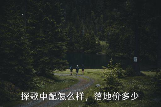 探歌中配落地多少錢唐山,中配落地多少錢