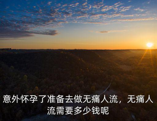 石家莊無痛人流多少錢求解藍天a,無痛人流需要多少錢呢