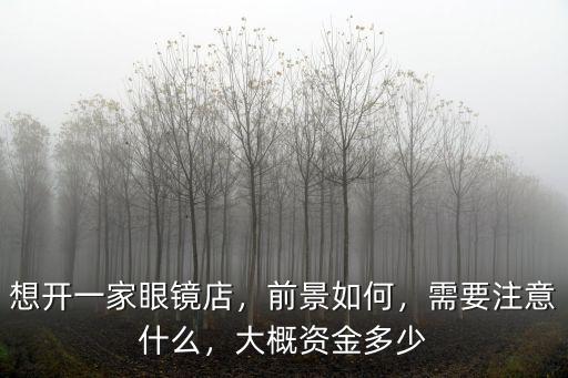 保定博野開一個(gè)眼鏡店大概需要多少錢,大概資金多少