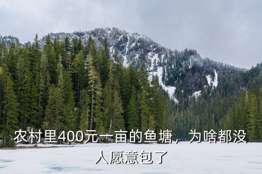 阜陽一畝魚塘多少錢租金,農村里400元一畝的魚塘
