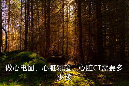 做心電圖、心臟彩超、心臟CT需要多少錢