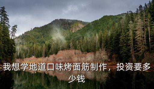 河北哪里有學烤面筋需要多少錢,投資要多少錢