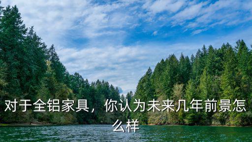武漢全鋁家具市場怎么樣,全鋁家居現在的市場怎么樣