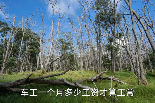 馬鞍山車工工資多少,車工一個(gè)月多少工資才算正常