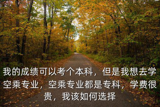 河北空乘專業學費多少,空乘專業都是專科