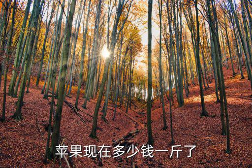 廊坊紅富士多少錢一斤,蘋果現在多少錢一斤了