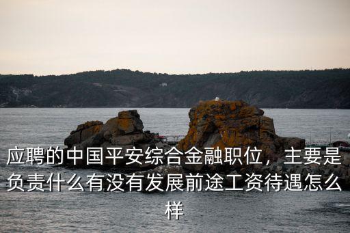 應聘的中國平安綜合金融職位，主要是負責什么有沒有發展前途工資待遇怎么樣