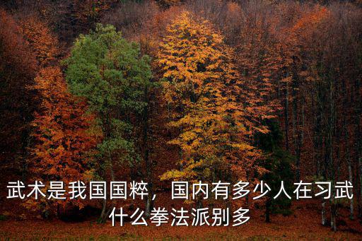 武術(shù)是我國國粹，國內(nèi)有多少人在習(xí)武什么拳法派別多