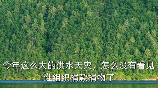 今年這么大的洪水天災，怎么沒有看見誰組織捐款捐物了