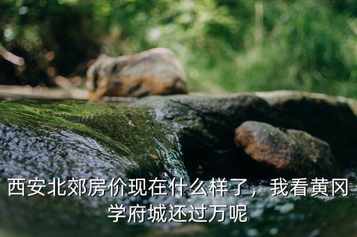 涇河黃岡學(xué)府城怎么樣,我看黃岡學(xué)府城還過萬呢