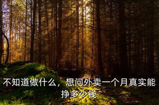 安慶外賣多少錢一個月,一個月有多少錢