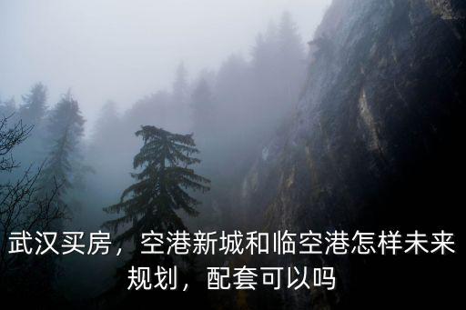 武漢空港中心的房子怎么樣,空港新城和臨空港怎樣