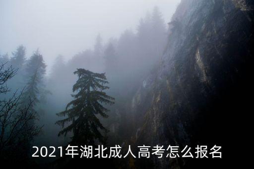 2021年湖北成人高考怎么報名