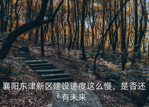 湖北省怎么沒有新區新區,武漢為什么沒有國家級新區