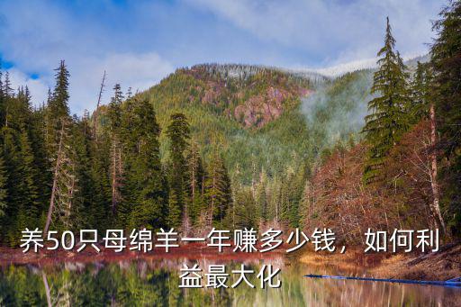養50只母綿羊一年賺多少錢，如何利益最大化