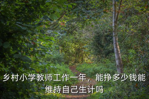 鄉(xiāng)村小學(xué)教師工作一年，能掙多少錢能維持自己生計(jì)嗎