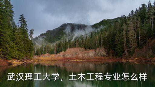 武漢理工大學土木類建筑怎么樣,武漢理工大學