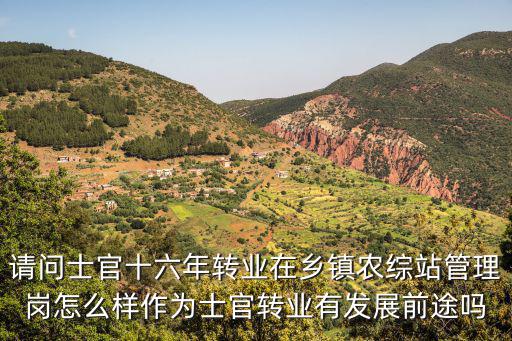 請問士官十六年轉業在鄉鎮農綜站管理崗怎么樣作為士官轉業有發展前途嗎