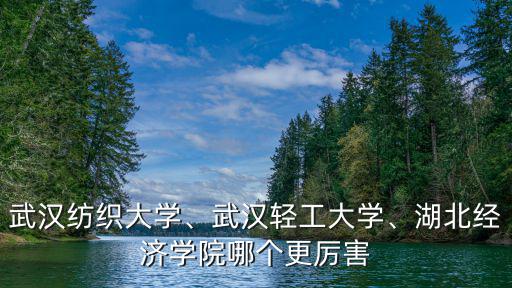 武漢紡織大學(xué)經(jīng)濟(jì)學(xué)院怎么樣,武漢紡織大學(xué)
