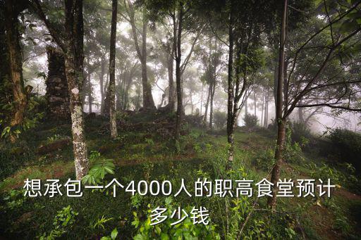 想承包一個4000人的職高食堂預計多少錢