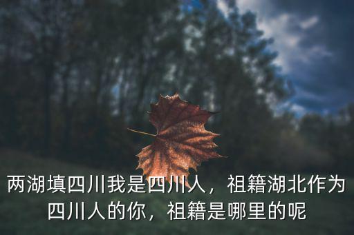 南充祖籍是哪里的,祖籍是哪里的呢