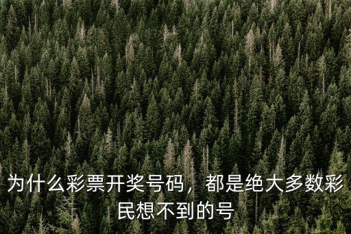 蕪湖市 彩票大獎號碼是多少錢,彩票中大獎后多久能拿到錢