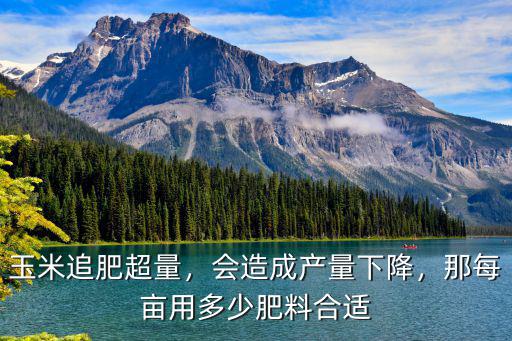 玉米追肥超量，會造成產量下降，那每畝用多少肥料合適