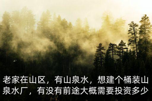 老家在山區，有山泉水，想建個桶裝山泉水廠，有沒有前途大概需要投資多少