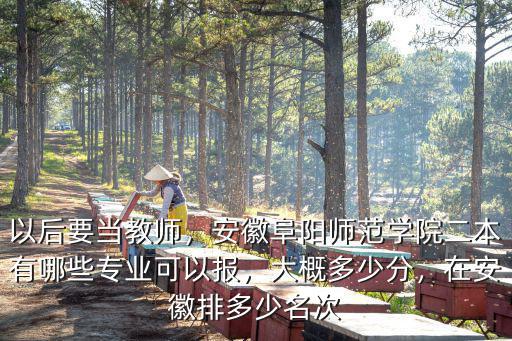 安徽阜陽師范大學(xué)的學(xué)費(fèi)是多少,在安徽排多少名次
